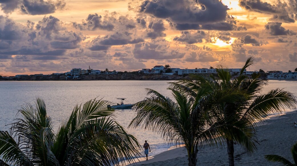 A beach with palm trees, a calm sea, and a coastal town with buildings under a cloudy sky.