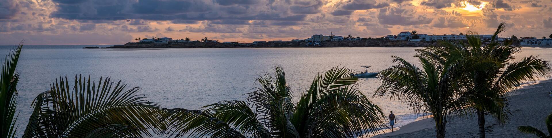 A beach with palm trees, a calm sea, and a coastal town with buildings under a cloudy sky.