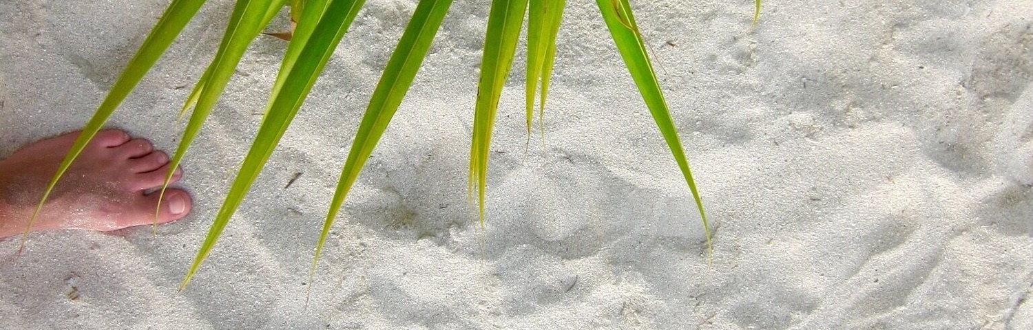 Sometimes you just want to remember where you were standing. This was one of those times. #palmtrees #beach #welovetoexplore #travel