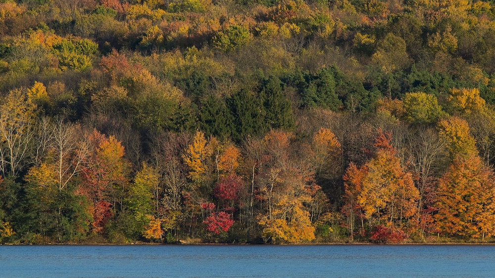 The rich fall colors of Moraine State Park viewed from Lake Arthur in Butler County, Pennsylvania