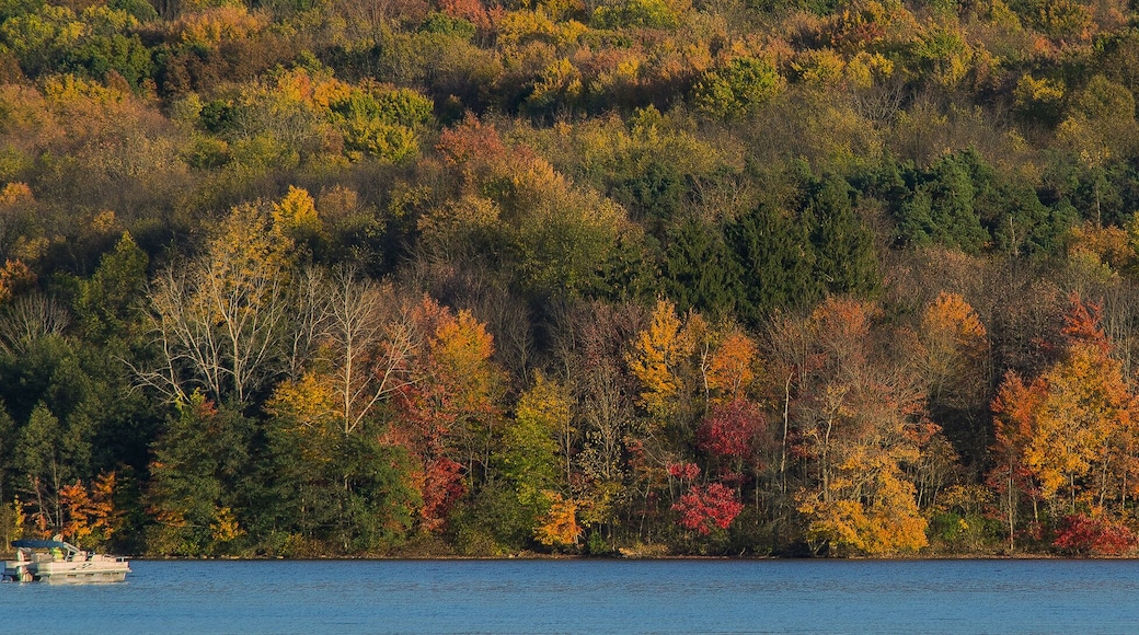 The rich fall colors of Moraine State Park viewed from Lake Arthur in Butler County, Pennsylvania