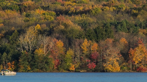 ๋ด์๋ฐํด