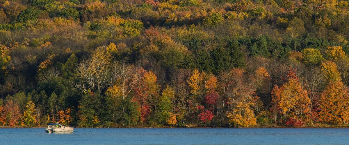 A lake surrounded by a forest with autumn foliage.