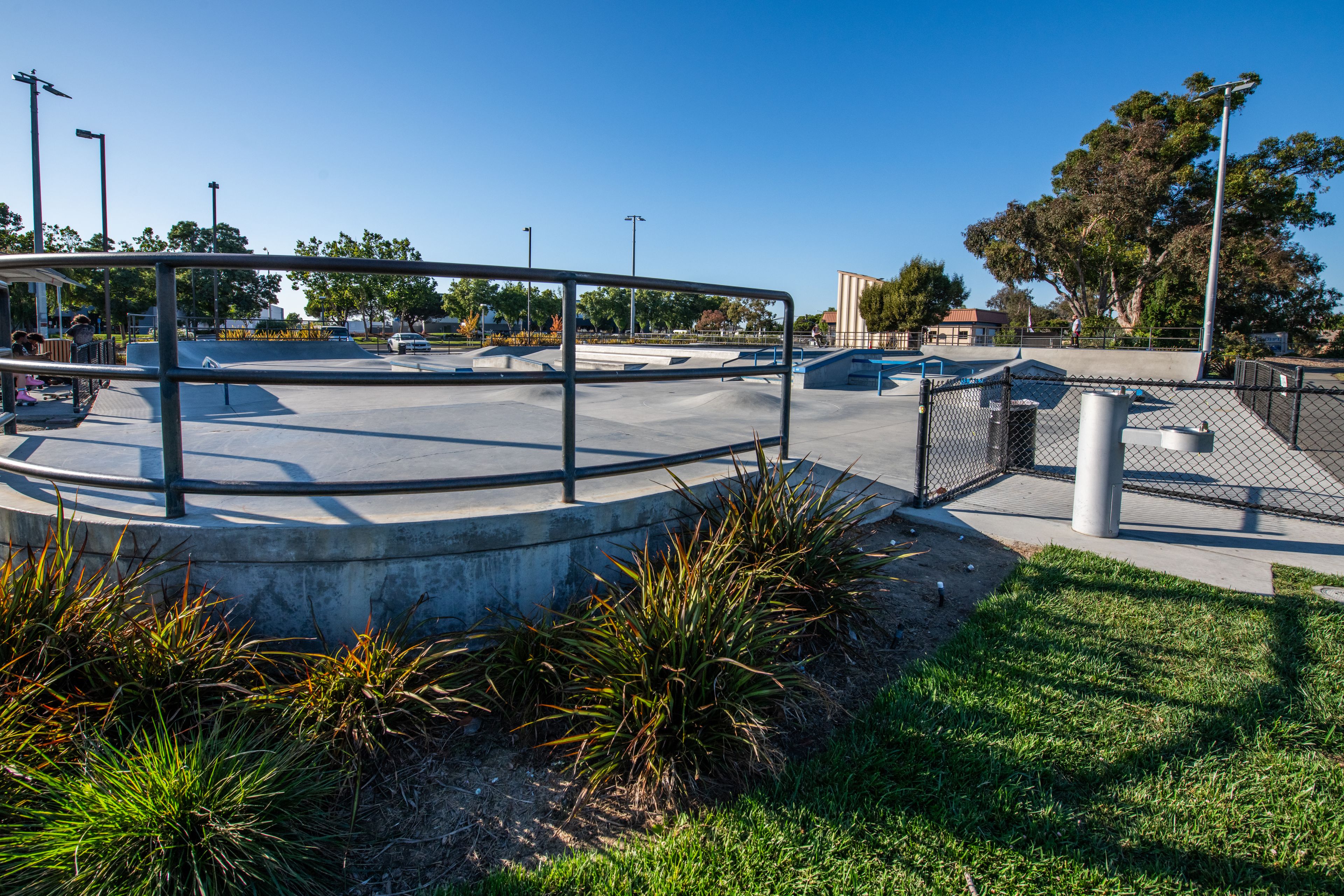 A skate park with a circular concrete structure, surrounded by grass and plants.