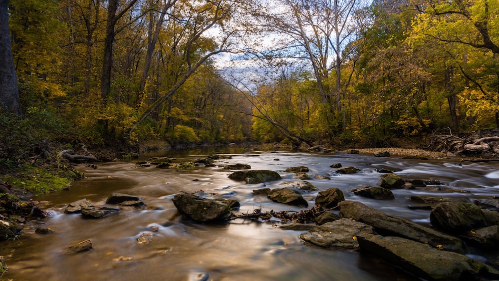 Scenic view of a river flowing in the forest in White Clay Creek State Park, Newark, Delaware
