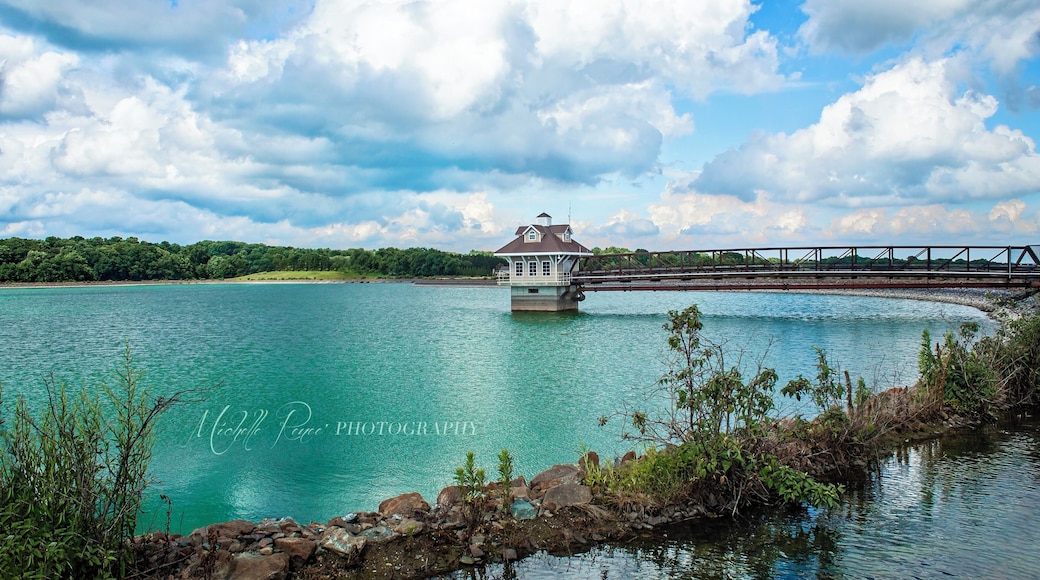 A perfect summer day at the reservoir!