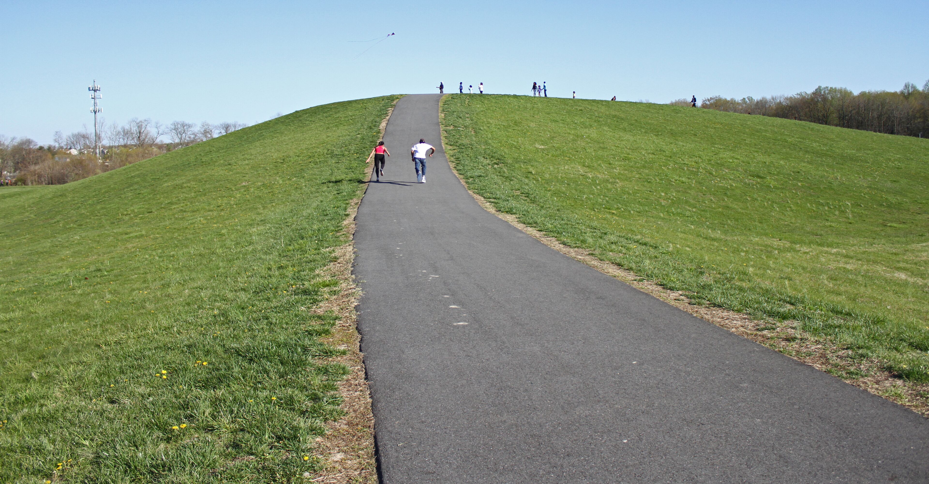 A paved path on a grassy hill with people walking.