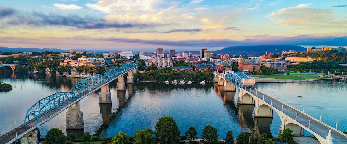 A blue bridge over a river, surrounded by greenery and a cityscape in the background.