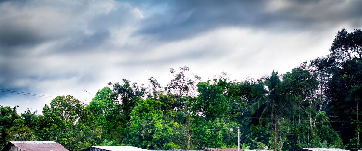 A riverfront with floating houses, surrounded by lush greenery and a cloudy sky.