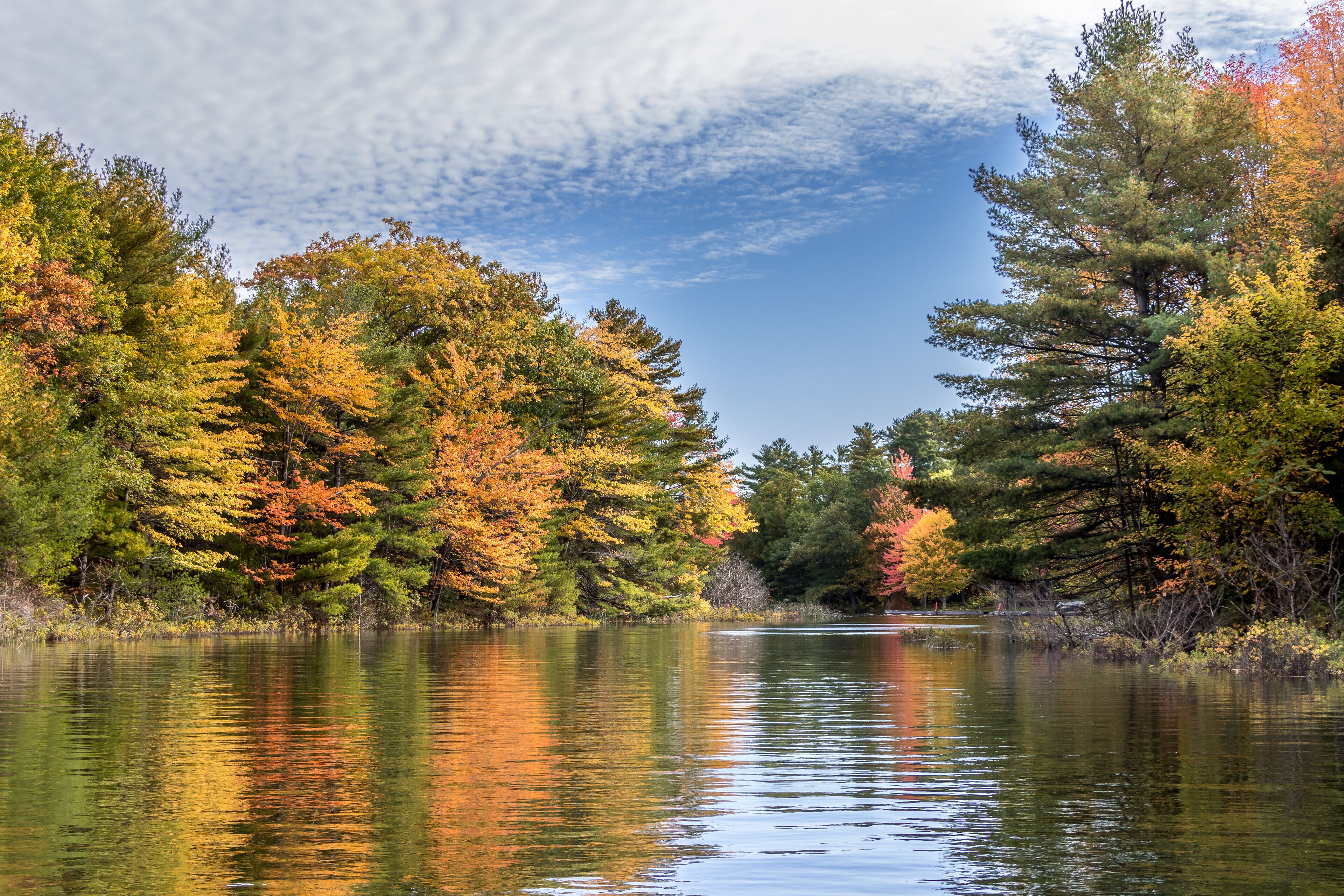 A calm lake surrounded by autumn-colored trees.