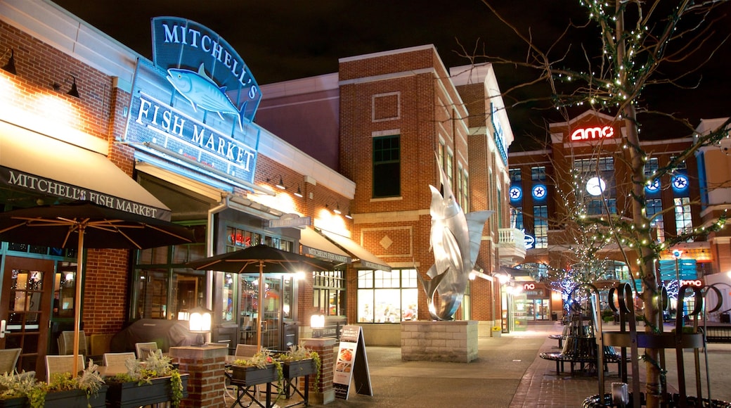 Newport which includes night scenes and signage