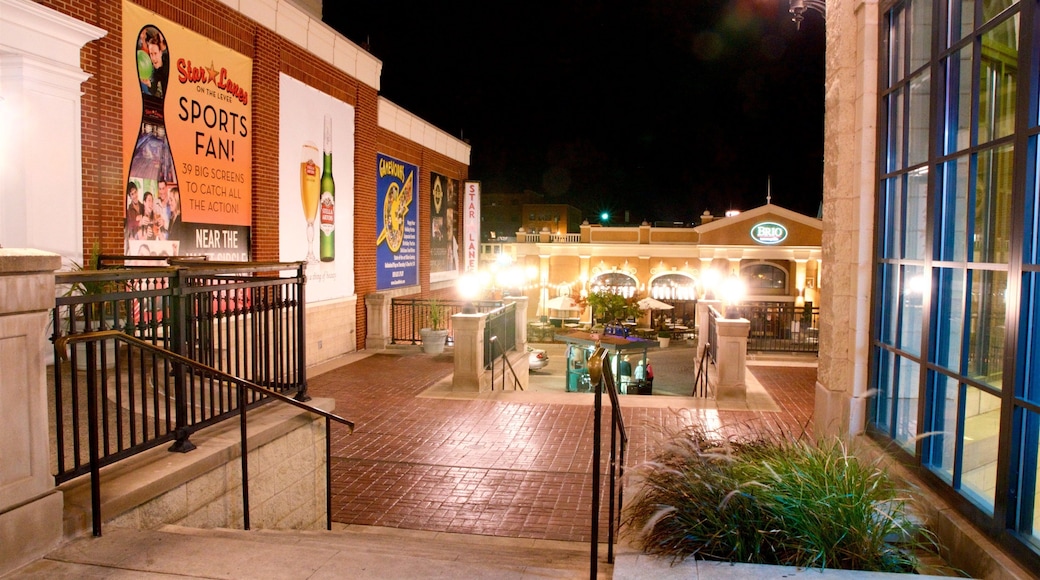 Newport which includes night scenes and signage