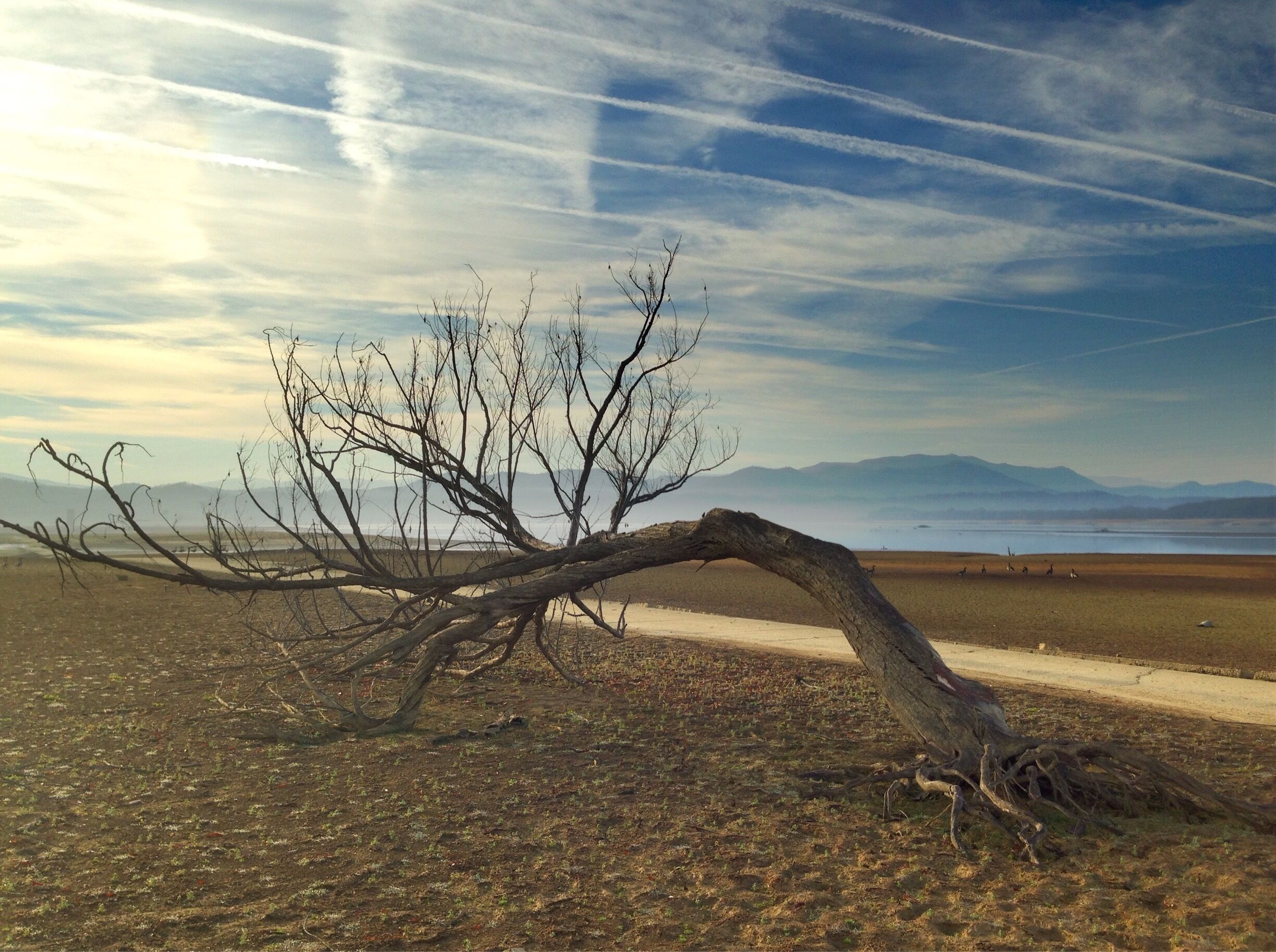 French Broad River and Douglas Lake in Newport, TN