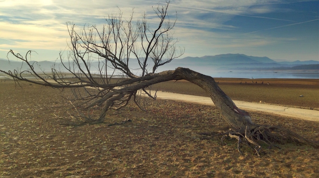 French Broad River and Douglas Lake in Newport, TN