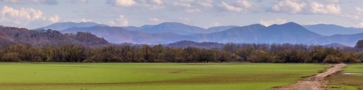 Landscape view in Rankin Bottoms, Newport, Tennessee, USA