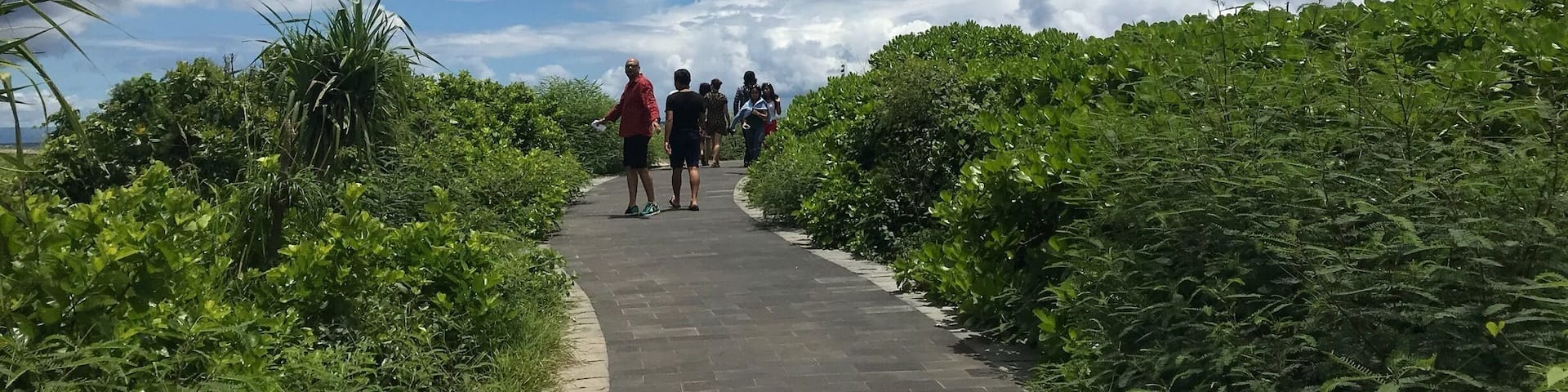 Un sendero pavimentado bordeado de abundante vegetación, que conduce hacia un grupo de personas alejándose de la cámara.