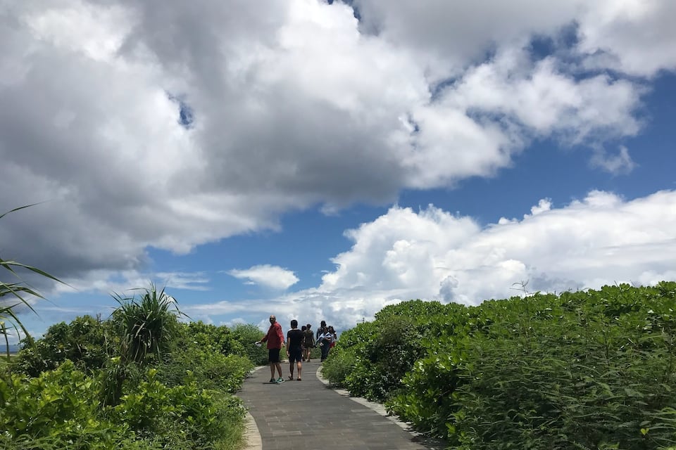 A paved pathway flanked by lush greenery, leading towards a group of people walking away from the camera.