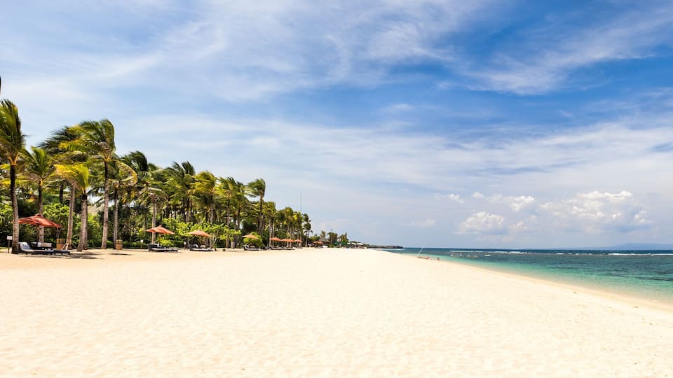 A beach with white sand, palm trees, and a clear blue sky.
