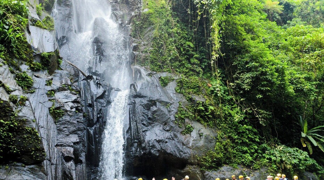 Seemed like a nice spot to take a break while rafting the Ayung River.