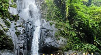 Seemed like a nice spot to take a break while rafting the Ayung River.