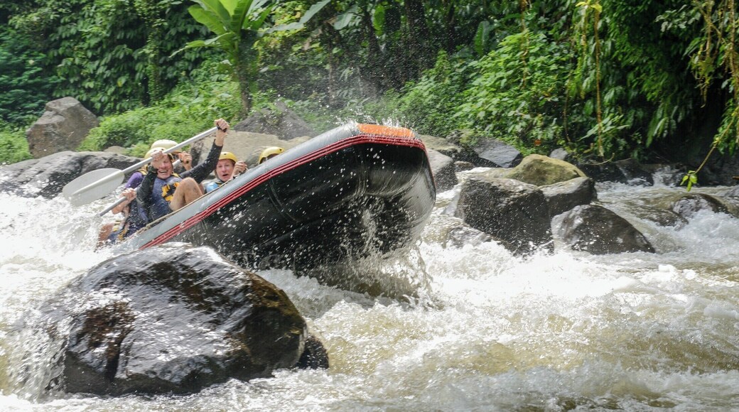 We went White Water Rafting on the Ayung River with Bali Adventure Tours outfitter and they could not have been more accommodating to our group. The experience was truly Epic ! One thing to be aware of is the steep trek down to and up from the river. 200+ stairs... if you have weak knees or you are not in good shape you might want to think about it.
Once on the river you will experience class 2-3 rapids. You are deep in the canyon and will feel very small. Theres a lot of canopy, tons of bamboo, flora and fauna. I did not feel I needed sunscreen as there was mostly shade. The water was cool to cool and a refreshing reprieve from the hot and humid climate.
I would do this one again !