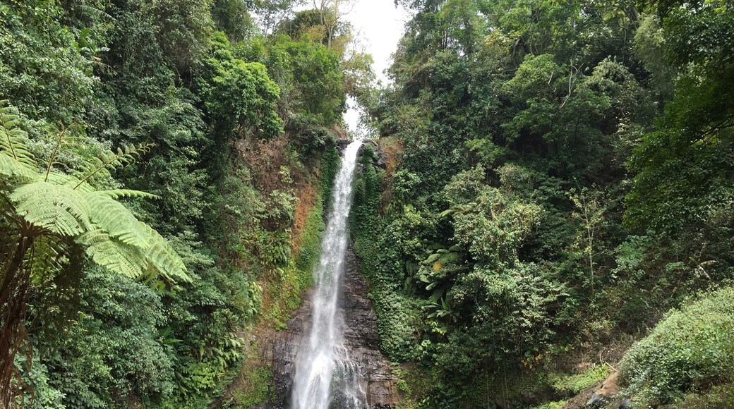 Gitgit waterfall
