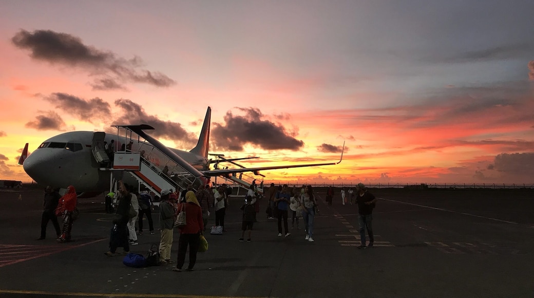 This was my welcome to Bali.