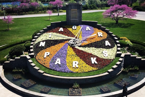 Niagara Floral Clock (aerial view) spring 2015. The planted face is maintained by Niagara Parks horticulture staff, while the mechanism is kept in working order by Ontario Hydro, the organization that originally built the clock. The intricate designs on the face of the timepiece are created with up to 16,000 carpet bedding plants. The floral design is changed twice each year, featuring viola in the Spring and four cultivars of Alternanthera along with green and grey forms of Santolina Sage during the Summer and Fall. California Golden Privet and Blue Festuca Grass may be used for contrast. #grass