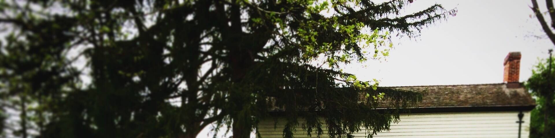 Opening a gate to history --- The Laura Secord Homestead was: the residence of Canadian heroine Laura Secord from 1803 to 1835;
ransacked by invading American soldiers during the Battle of Queenston Heights in October of 1812, during the War of 1812;
the starting point of Laura Secord's perilous 32-kilometre (20 mile) journey to warn the British of an imminent American surprise attack in June of 1813 during the War of 1812,