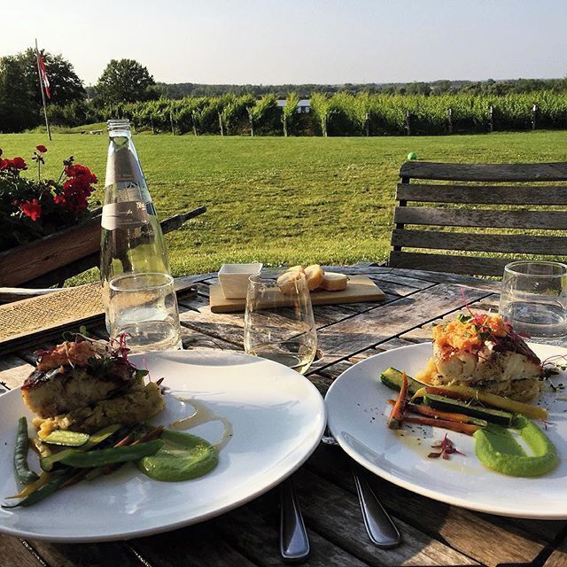 Oh, to dine in a vineyard.  This is Ravine Vineyard Estate Winery, where it's the summer of Chardonnay.  The meal is line caught ling cod with local veggies on mashed fingerling potatoes.  Sublime.  The Niagara wine region in Ontario makes for a great #delicious.