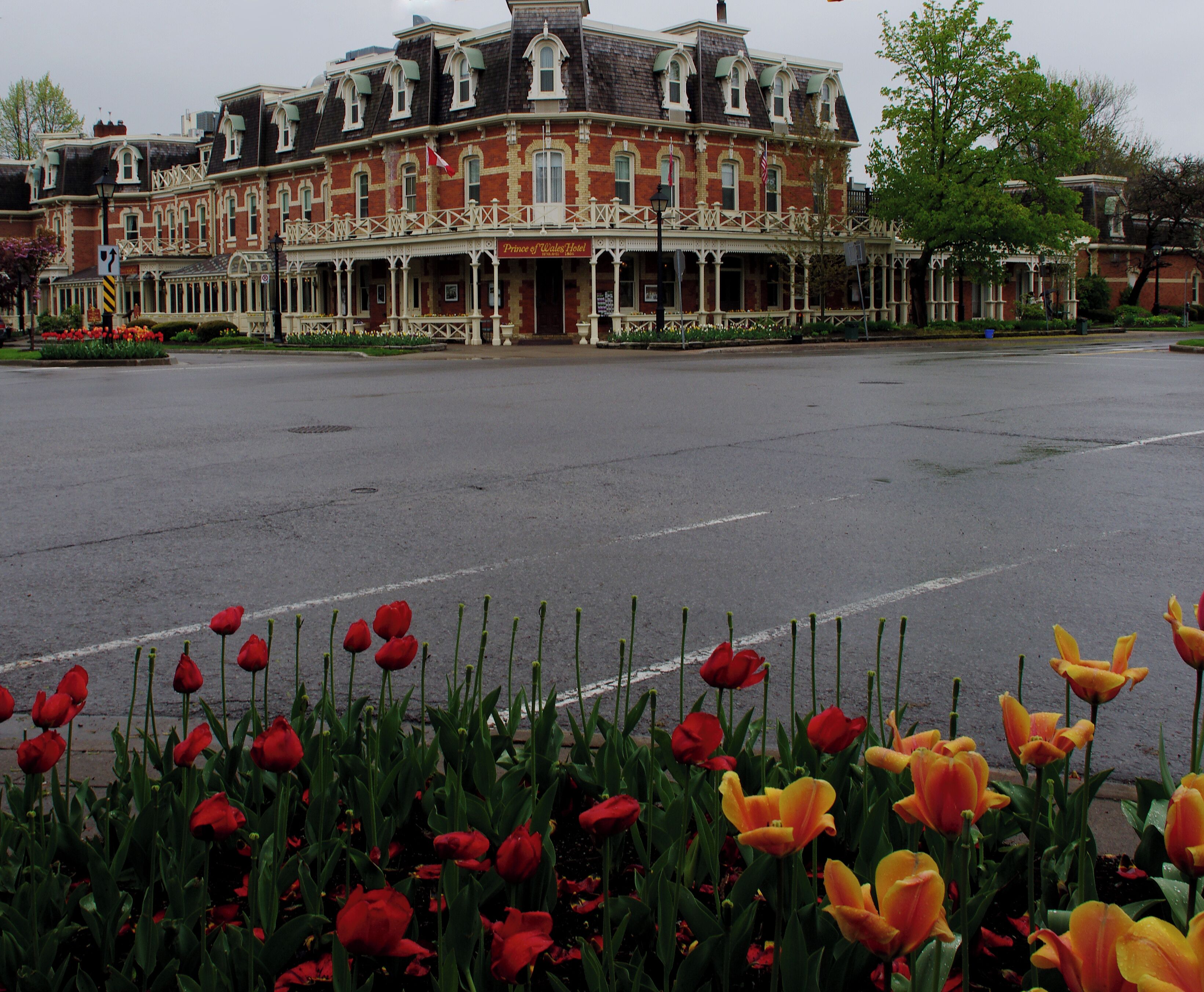 The flower-filled, tree-lined old town features 19th-century buildings, mainly along Queen street. #OnTheRoad