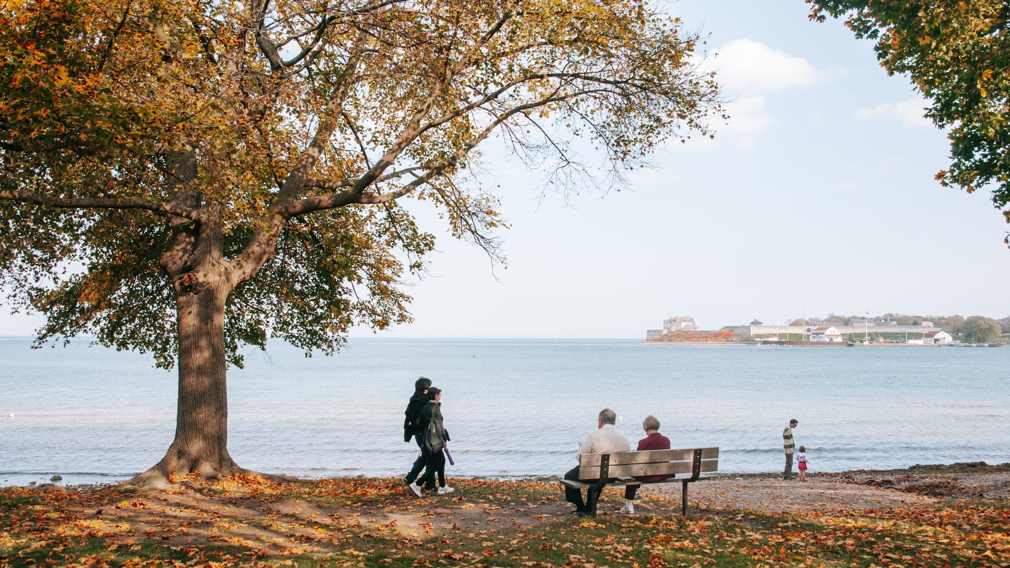 Niagara-on-the-Lake showing general coastal views, a garden and fall colors