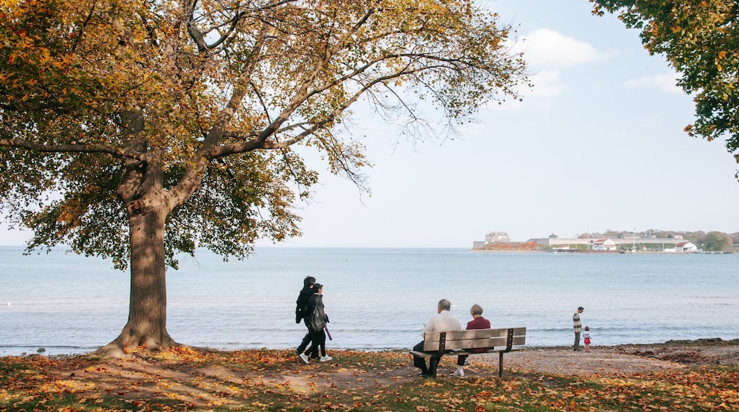 Niagara-on-the-Lake showing general coastal views, a garden and fall colors