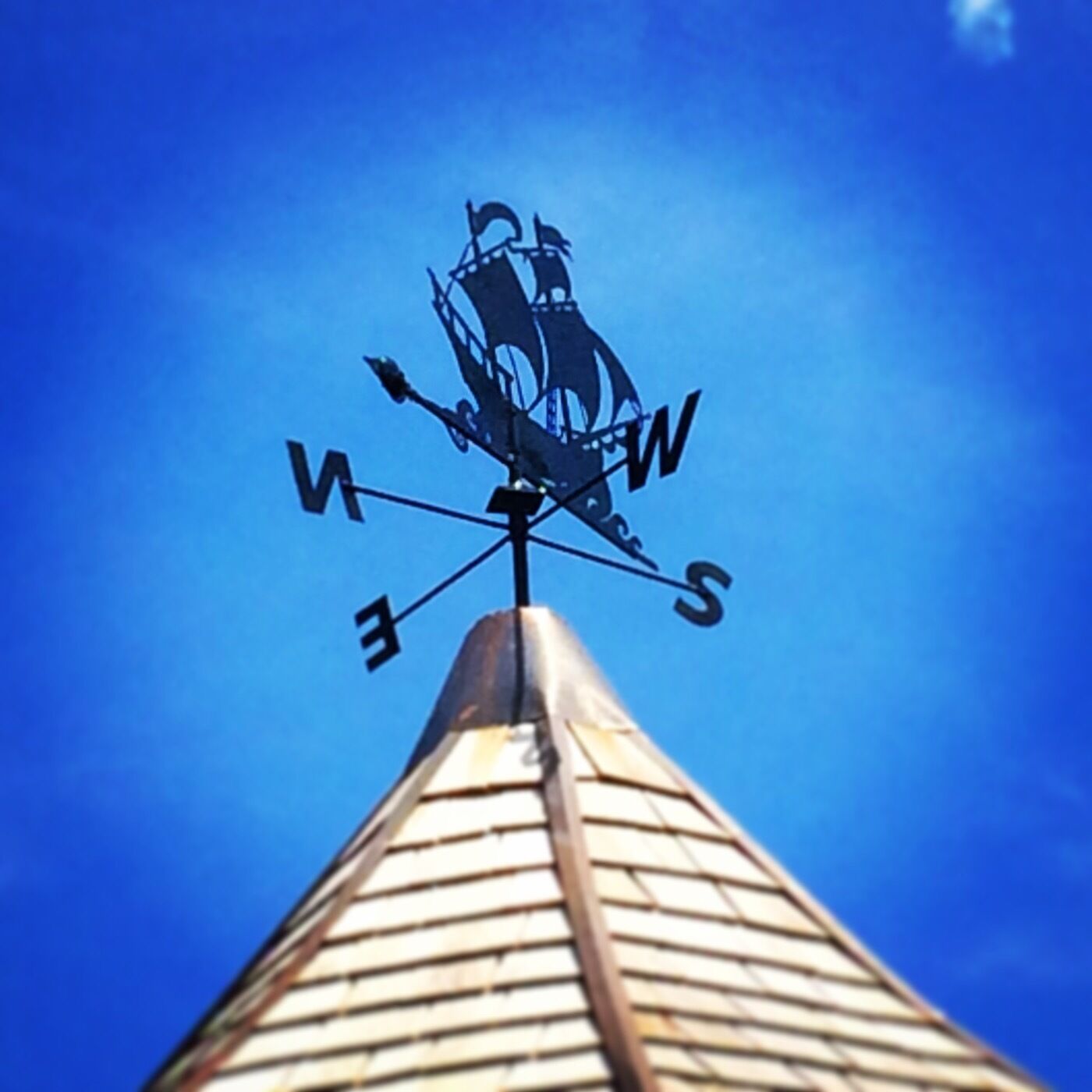 Giving Direction at Queen's Royal Park in Niagara-on-the-Lake