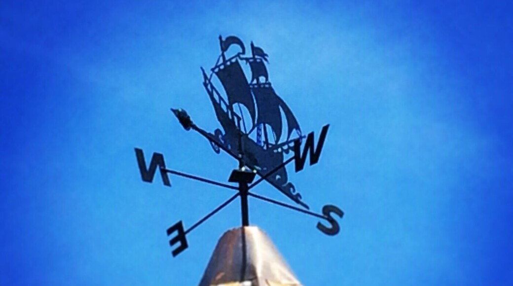 Giving Direction at Queen's Royal Park in Niagara-on-the-Lake