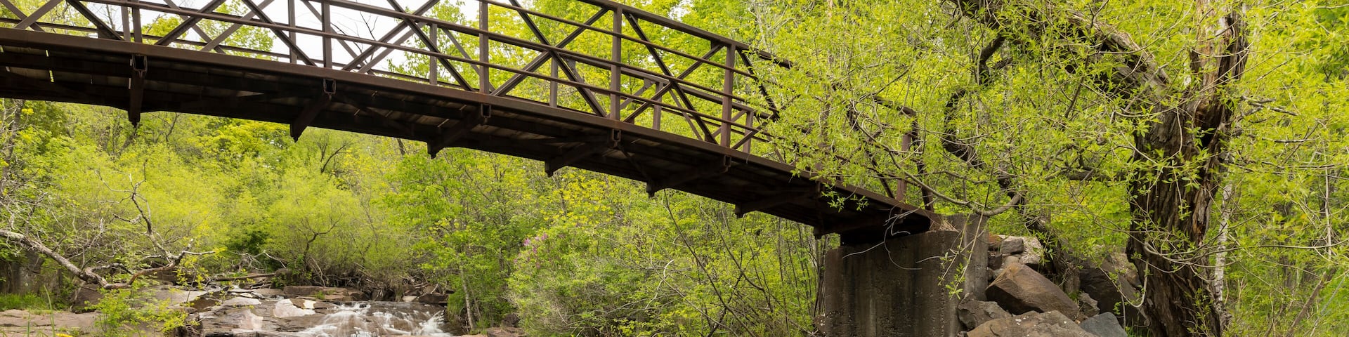 Miller Creek Waterfall & Footbridge
