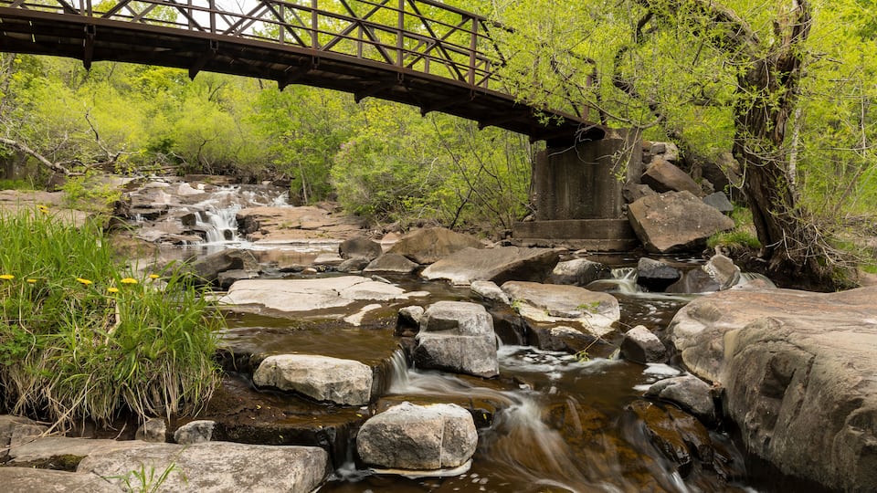 Miller Creek Waterfall & Footbridge