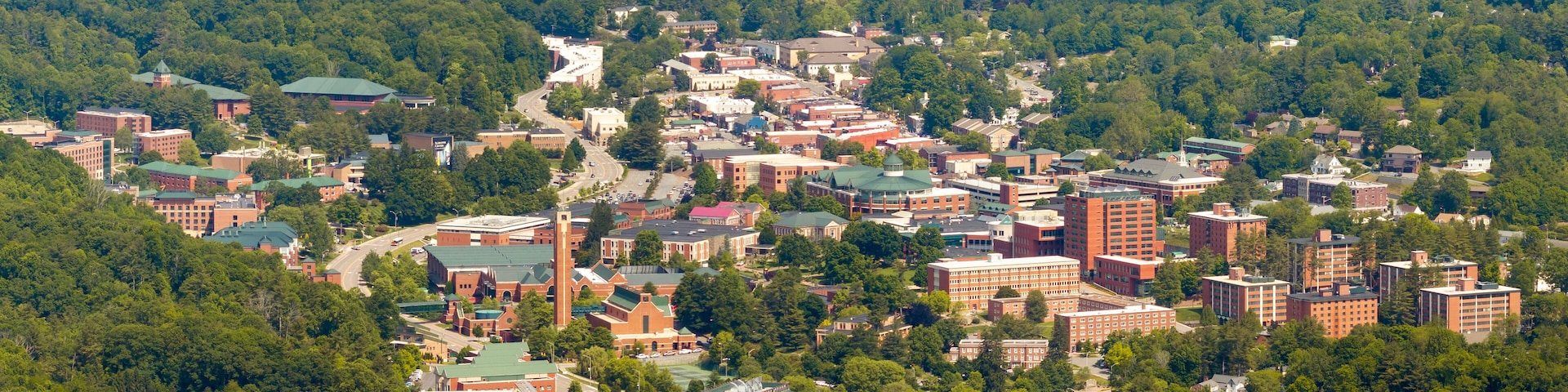 A town surrounded by dense forest.