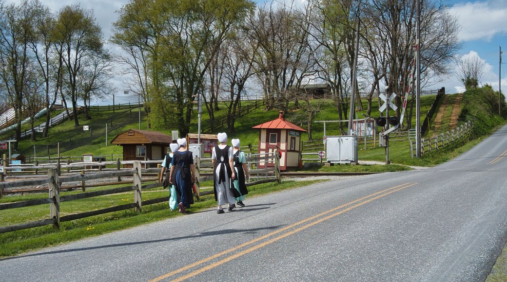Teenage Amish Boys and Girls Walking Along a Rural Road in the Countryside on a Spring Day