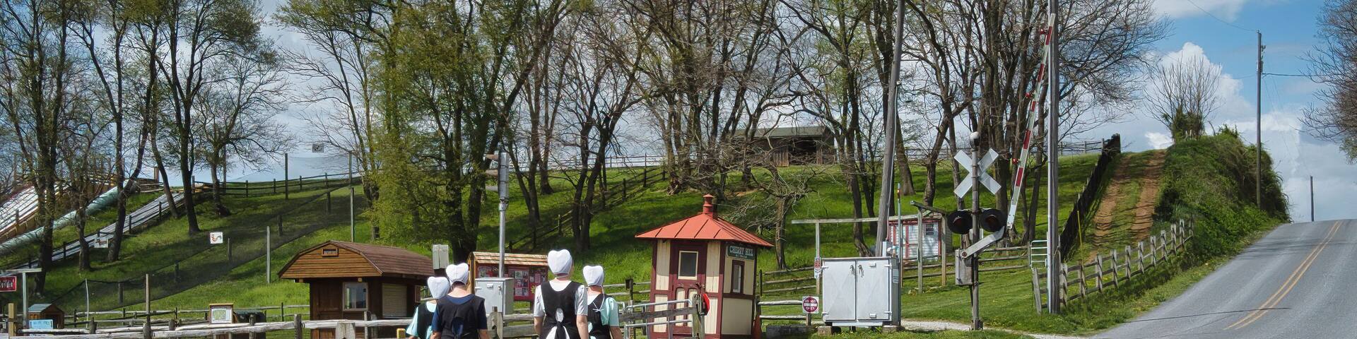 Teenage Amish Boys and Girls Walking Along a Rural Road in the Countryside on a Spring Day