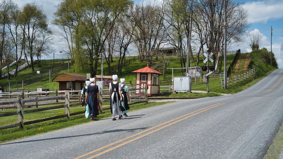 Teenage Amish Boys and Girls Walking Along a Rural Road in the Countryside on a Spring Day