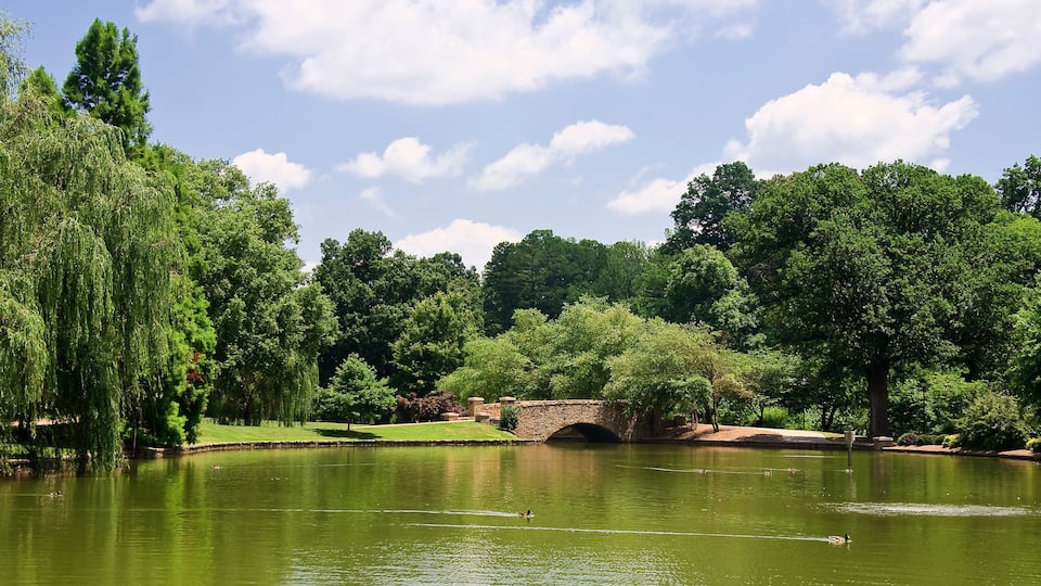 Freedom Park in the Summer at Charlotte