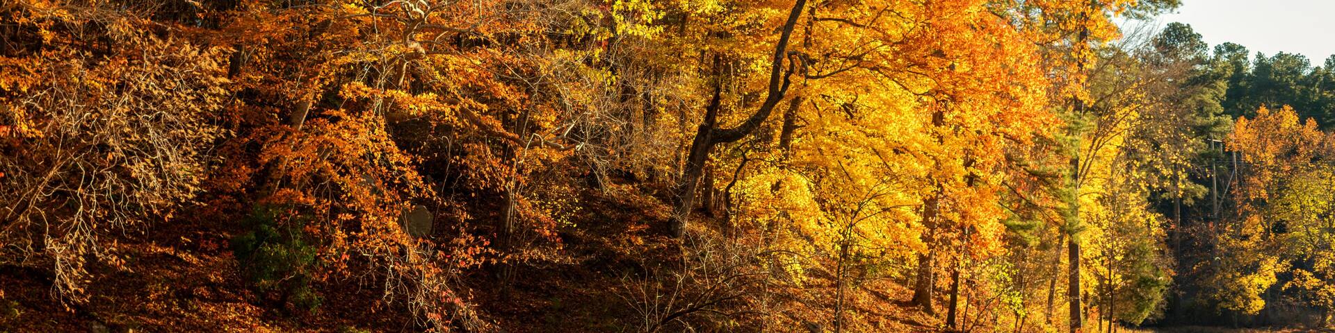 Lake at Umstead State Park in Autumn - North Carolina