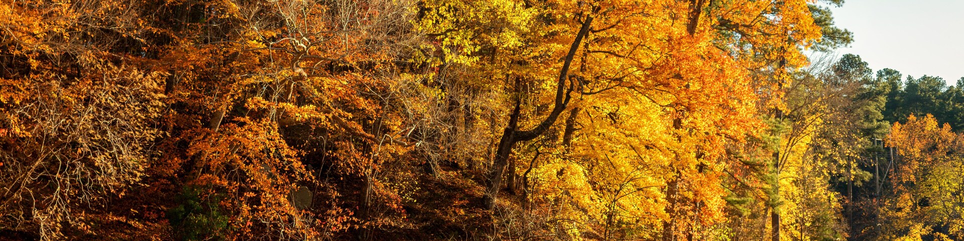 Lake at Umstead State Park in Autumn - North Carolina
