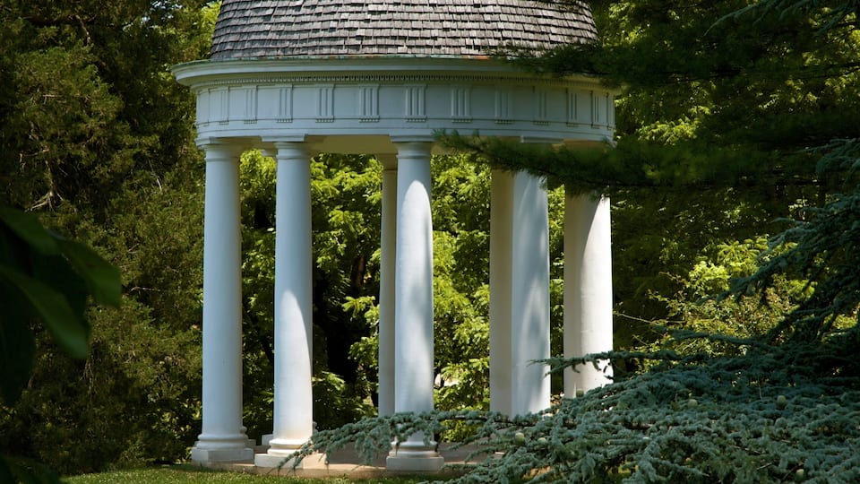 A white gazebo with a dome roof surrounded by lush greenery.