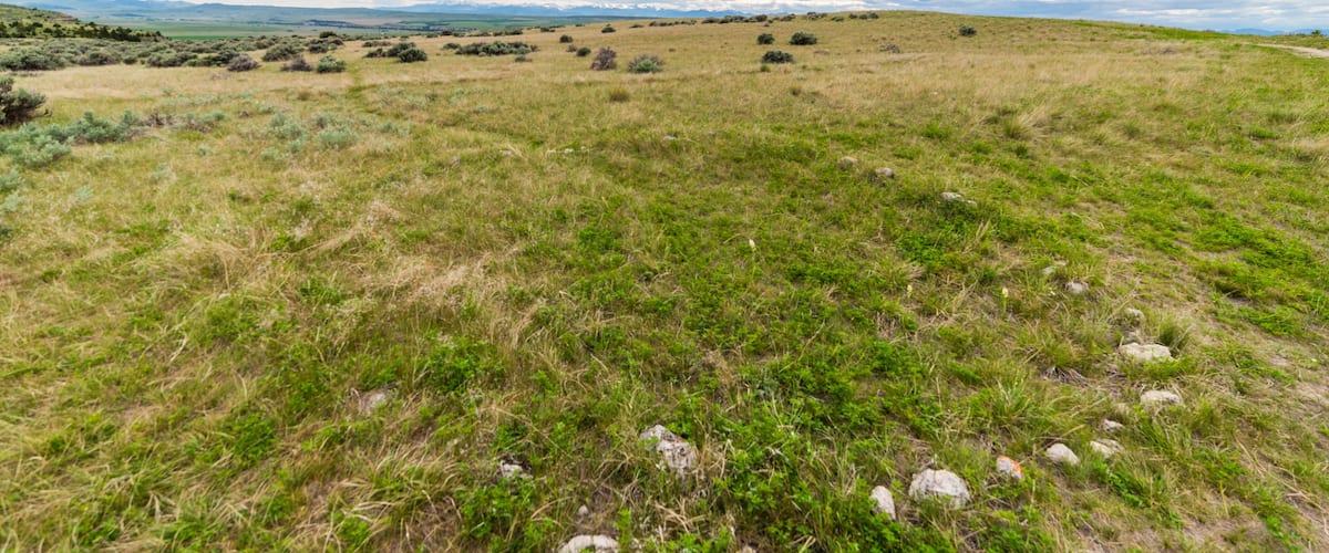 A grassy field with scattered rocks and distant mountains under a cloudy sky.