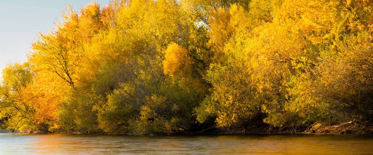 Landscape of the Boise river in Idaho in the fall. Green belt, Boise.
