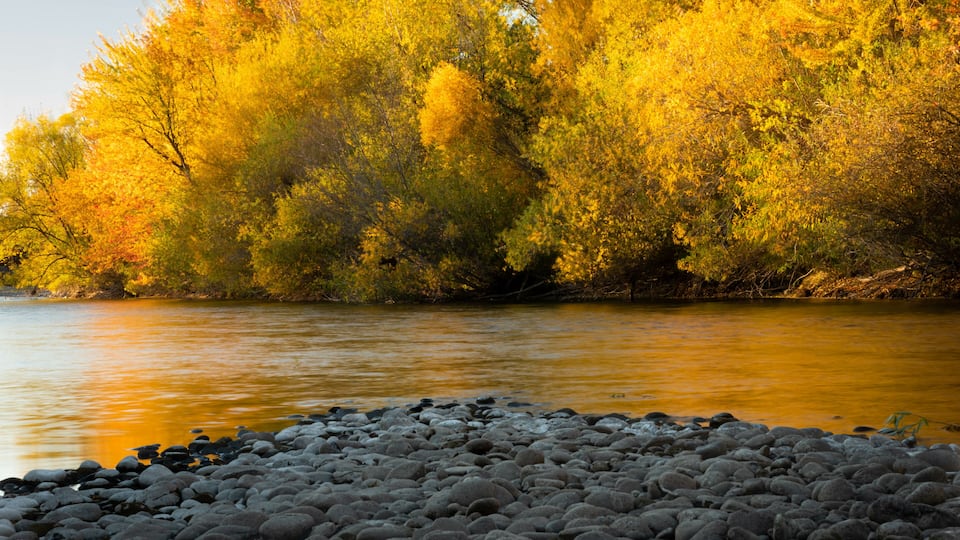 Landscape of the Boise river in Idaho in the fall. Green belt, Boise.
