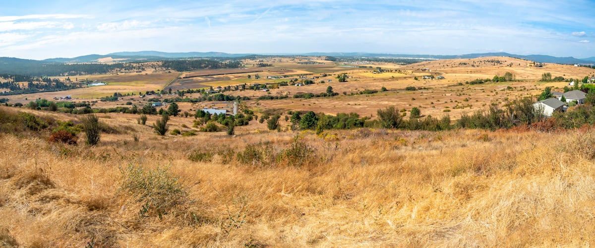 The Spokane Valley and Saltese Uplands Conservation Area Flats and wetlands area during summer in the state of Washington, USA
