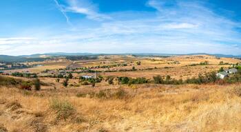The Spokane Valley and Saltese Uplands Conservation Area Flats and wetlands area during summer in the state of Washington, USA